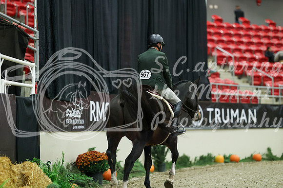 01178 - Mara - 2026 Royal West - Saturday October 17th