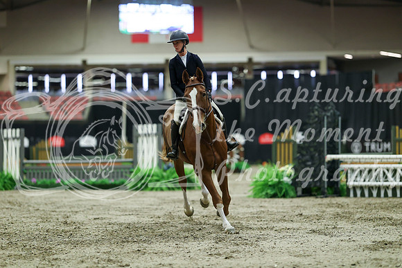 02403 - Mara - 2026 Royal West - Saturday October 17th