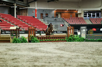 01796 - Mara - 2026 Royal West - Saturday October 17th