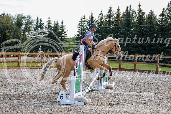 2025 - Haylee - Picco Horse Show - Saturday July 26th 00156
