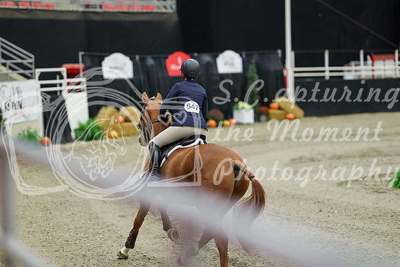 01299 - Mara - 2026 Royal West - Friday October 23rd