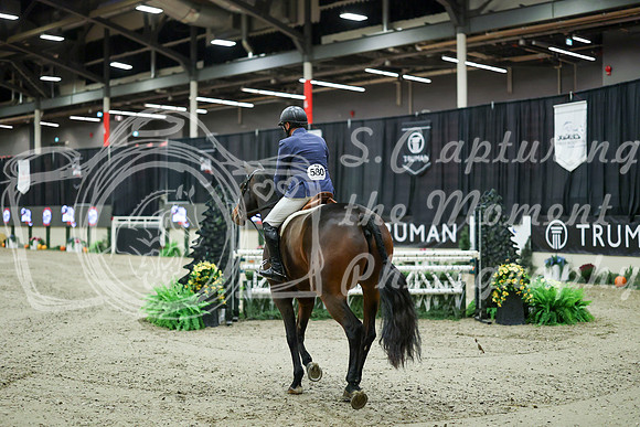 07961 - Mara - 2026 Royal West - Saturday October 17th