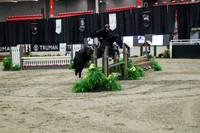04149 - Mara - 2026 Royal West - Tuesday October 20th