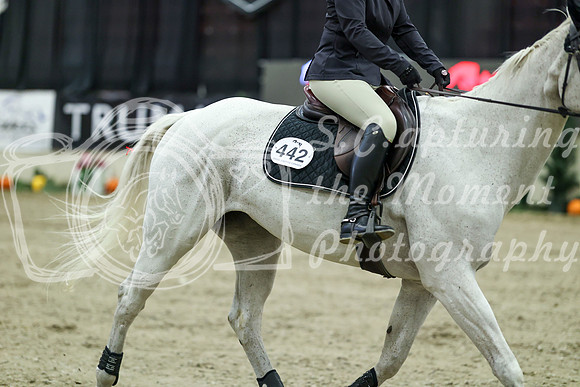 00233 - Mara - 2026 Royal West - Wednesday October 21st