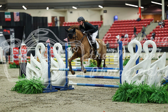 00559 - Mara - 2026 Royal West - Saturday October 2th