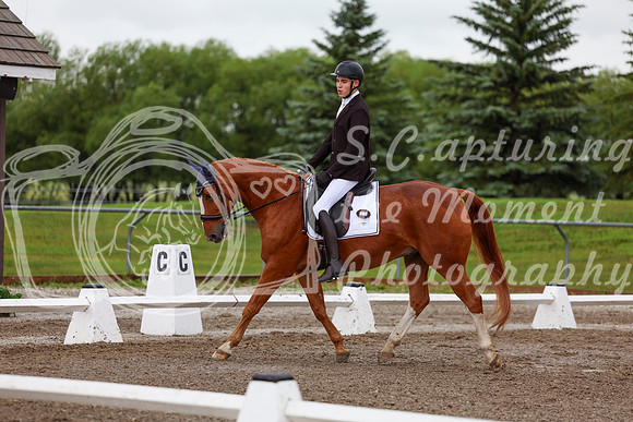 2025 - Dressage Festival - Sunday July 6th - 01348