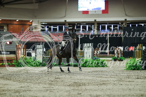 01447 - Mara - 2026 Royal West - Saturday October 17th