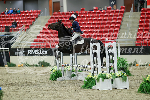 00356 - Mara - 2026 Royal West - Saturday October 2th