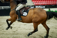 03923 - Mara - 2026 Royal West - Wednesday October 21st