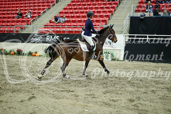 04803 - Mara - 2026 Royal West - Wednesday October 21st