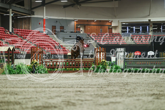 05285 - Mara - 2026 Royal West - Saturday October 17th