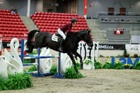 04600 - Mara - 2026 Royal West - Saturday October 24th