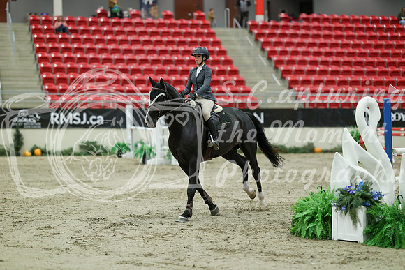 04532 - Mara - 2026 Royal West - Saturday October 24th