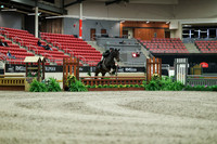 01179 - Mara - 2026 Royal West - Saturday October 17th