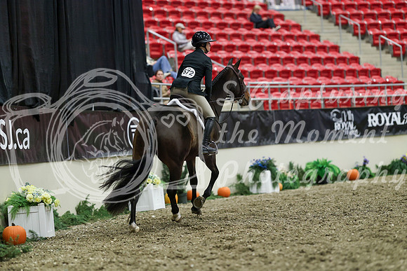01025 - Mara - 2026 Royal West - Tuesday October 20th