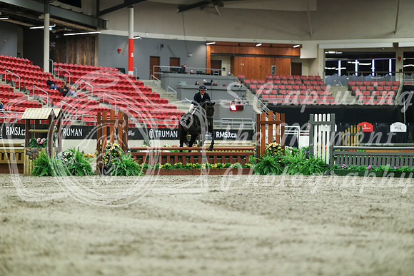 01380 - Mara - 2026 Royal West - Saturday October 17th