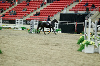 00198 - Mara - 2026 Royal West - Saturday October 2th
