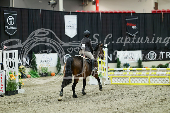 00553 - Mara - 2026 Royal West - Wednesday October 21st