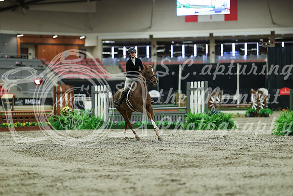 01807 - Mara - 2026 Royal West - Saturday October 17th