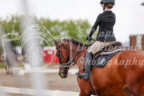 2025 - Dressage Festival - Sunday July 6th - 01799