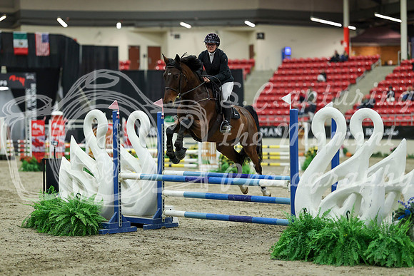 01146 - Mara - 2026 Royal West - Saturday October 2th
