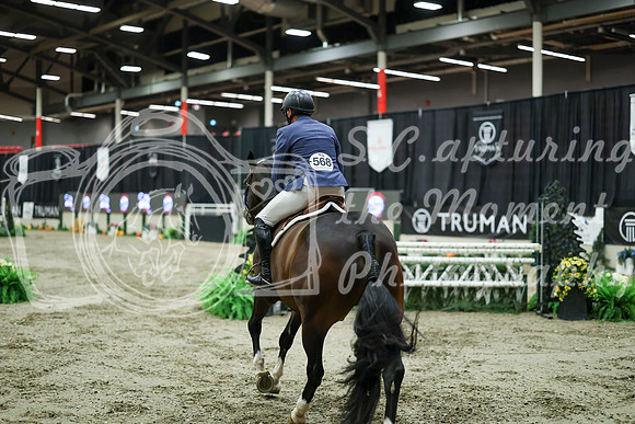 08649 - Mara - 2026 Royal West - Saturday October 17th