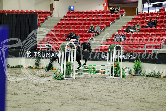 00305 - Mara - 2026 Royal West - Wednesday October 21st