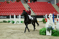 04591 - Mara - 2026 Royal West - Saturday October 24th