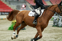 05706 - Mara - 2026 Royal West - Sunday October 18th