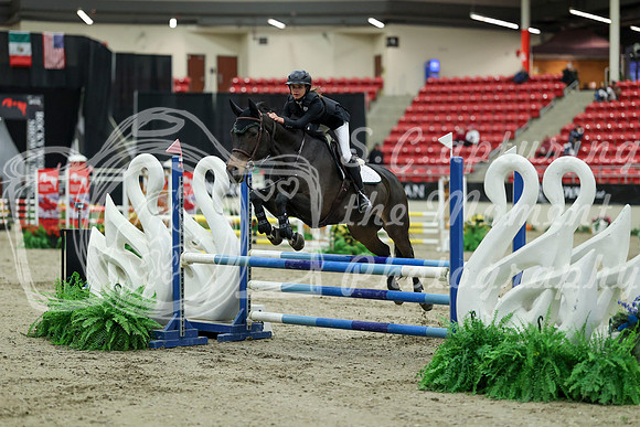 00432 - Mara - 2026 Royal West - Saturday October 2th