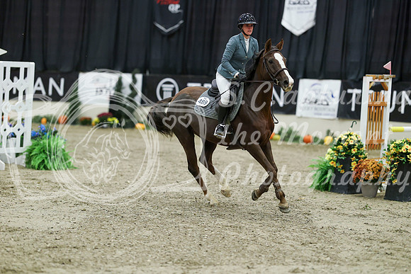 02463 - Mara - 2026 Royal West - Thursday October 22nd