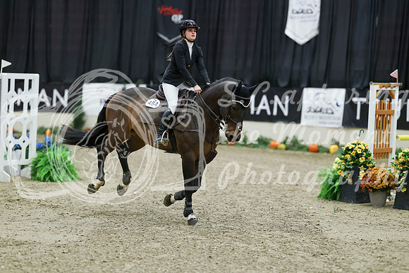 02148 - Mara - 2026 Royal West - Thursday October 22nd