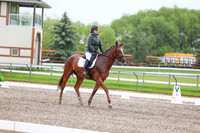 2025 - Dressage Festival - Sunday July 6th - 03575
