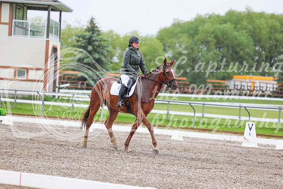 2025 - Dressage Festival - Sunday July 6th - 03575