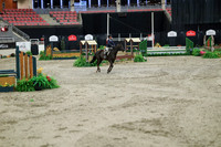 03642 - Mara - 2026 Royal West - Tuesday October 20th