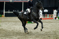 07422 - Mara - 2026 Royal West - Sunday October 18th