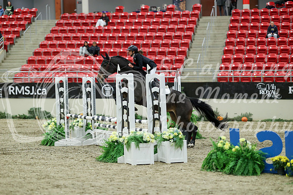 00419 - Mara - 2026 Royal West - Saturday October 2th