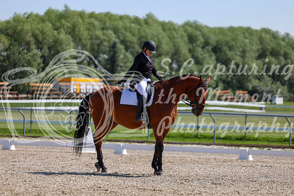 2025 - Dressage Festival - Saturday July 5th - 04317