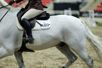 03862 - Mara - 2026 Royal West - Friday October 16th