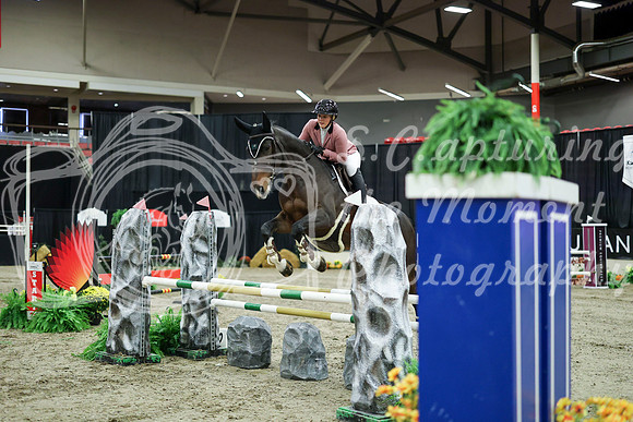03219 - Mara - 2026 Royal West - Wednesday October 21st
