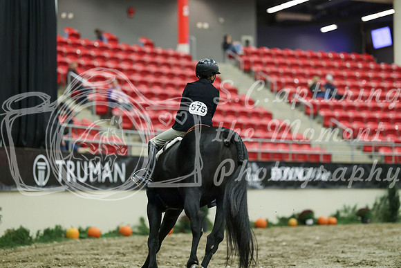 01739 - Mara - 2026 Royal West - Saturday October 17th