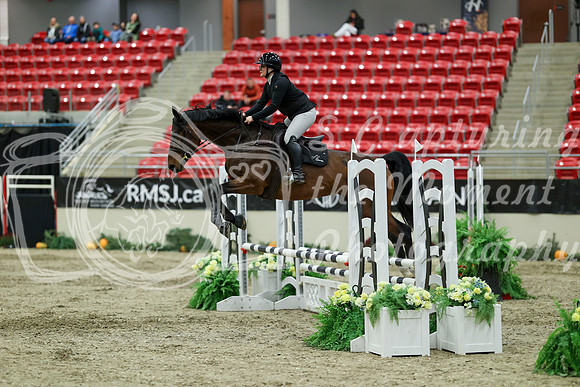 01137 - Mara - 2026 Royal West - Saturday October 2th