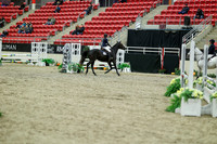 00199 - Mara - 2026 Royal West - Saturday October 2th