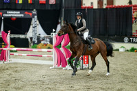 01107 - Mara - 2026 Royal West - Sunday October 18th