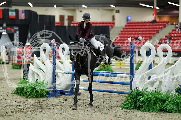 00498 - Mara - 2026 Royal West - Saturday October 2th