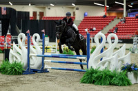 00493 - Mara - 2026 Royal West - Saturday October 2th
