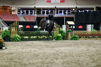 01247 - Mara - 2026 Royal West - Tuesday October 20th