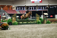 01553 - Mara - 2026 Royal West - Tuesday October 20th