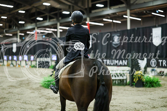 08280 - Mara - 2026 Royal West - Saturday October 17th