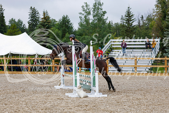 2025 - Haylee - Picco Horse Show - Sunday July 27th 01096